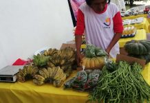 ‘Kadiwa Ng Pangulo’ Opens Market Matching, Linkage For Local Products