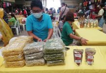Antique Farmers’ Group Produces Noodles Out Of ‘Pancit-Pancitan’
