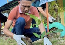 DepEd Western Visayas Targets To Plant 3 Million Trees By 2028