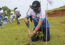‘Mission For A Forest’ To Restore Forestland In Antique Town